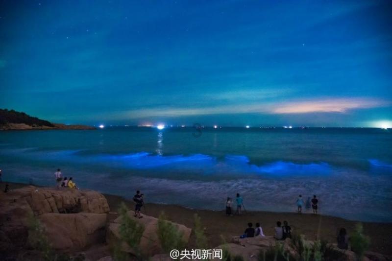 拯救活力男孩