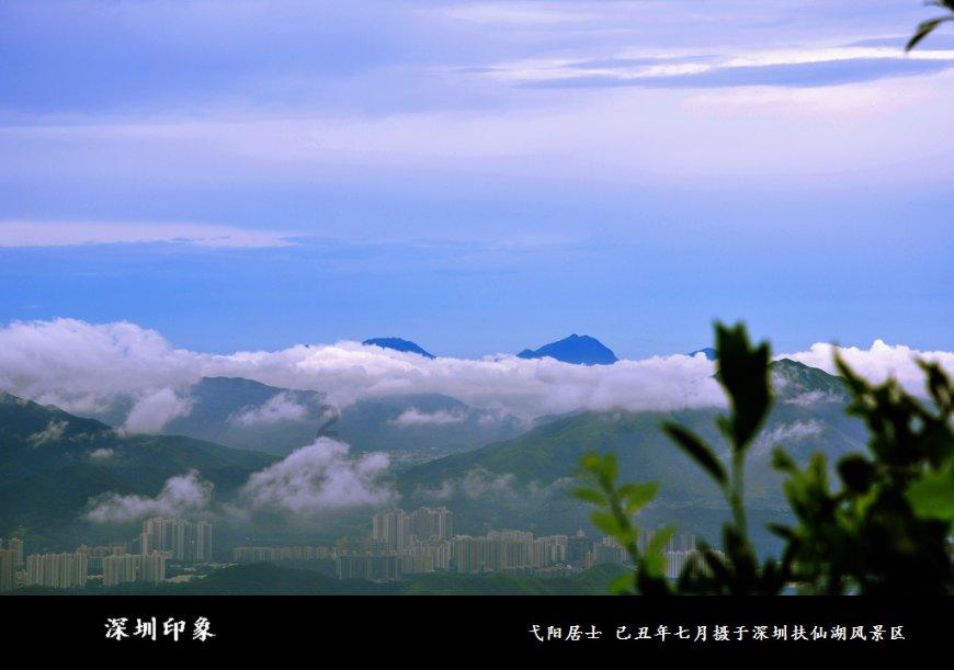 逗小猴开心系列175