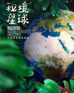 IPO招股书显著变薄:两年从600页压缩至400余页