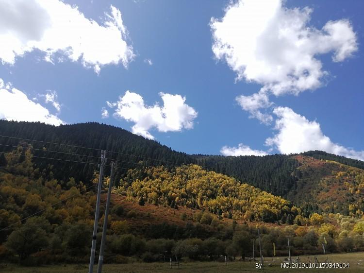 山西暴雨致近5.5万人紧急转移，目前的灾情如何？游戏画面