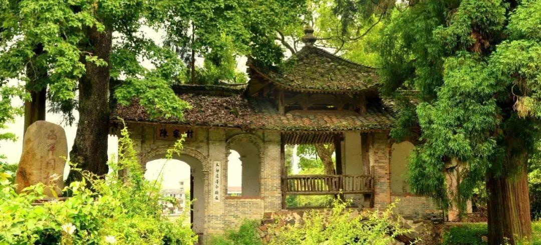 电子驾驶证出台，是不是以后出门，就不用带驾照本了？游戏画面