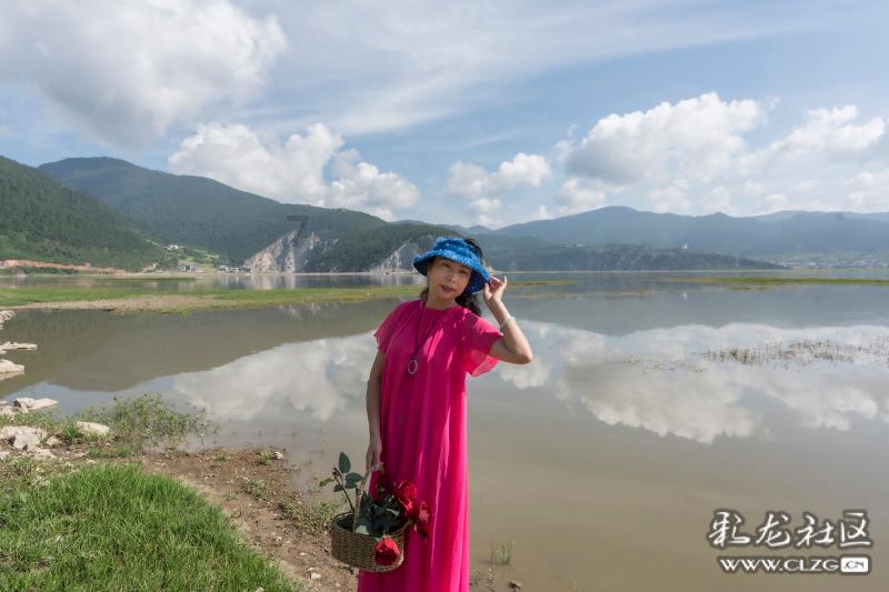 植物大战僵尸20