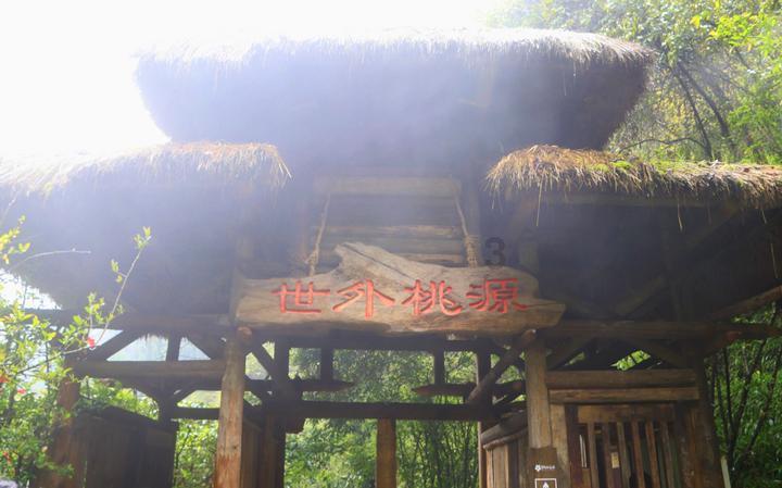 精准的神枪手