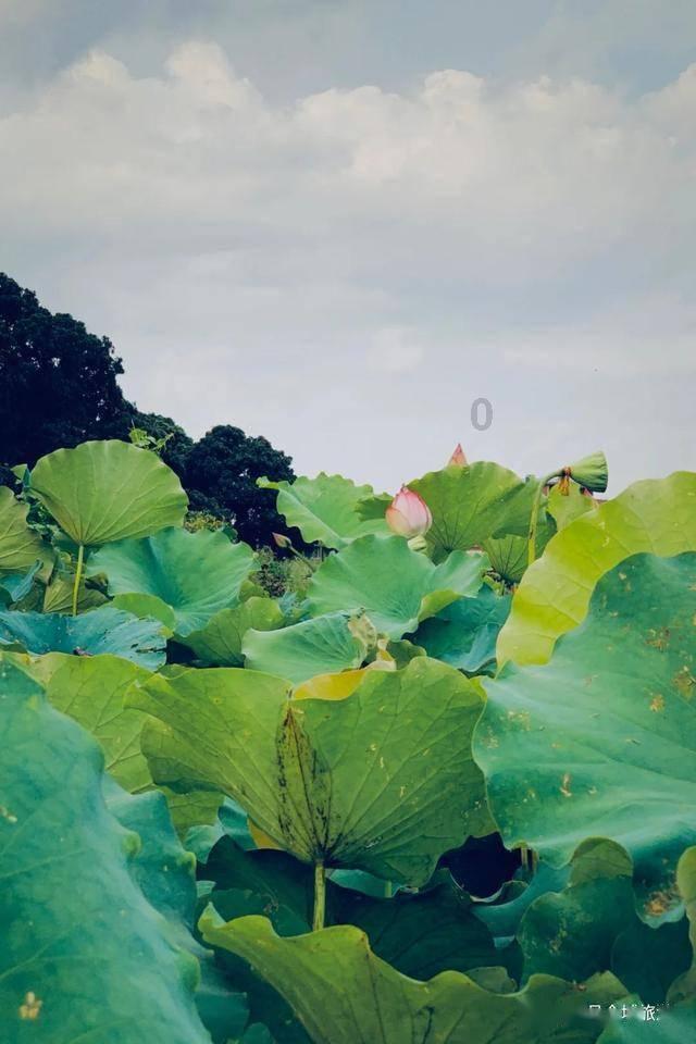 逃离复古经典房屋