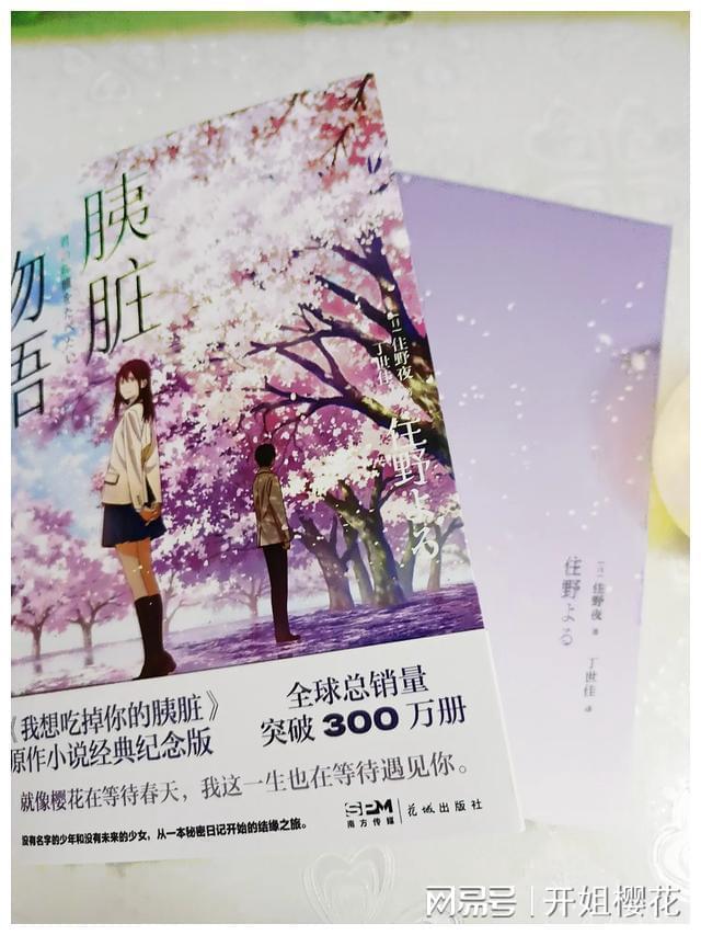 诱捕小浣熊