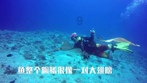 呈贡区被评为全省广电系统先进集体