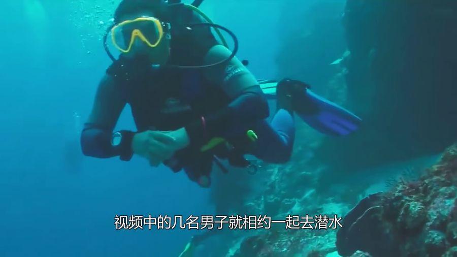 香蜜沉沉烬如霜装扮