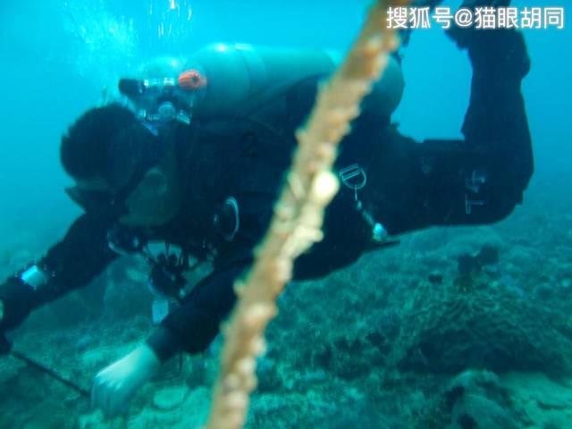 弹球突破