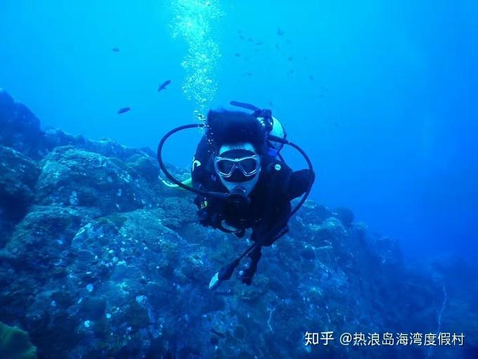 寻找奈良树花