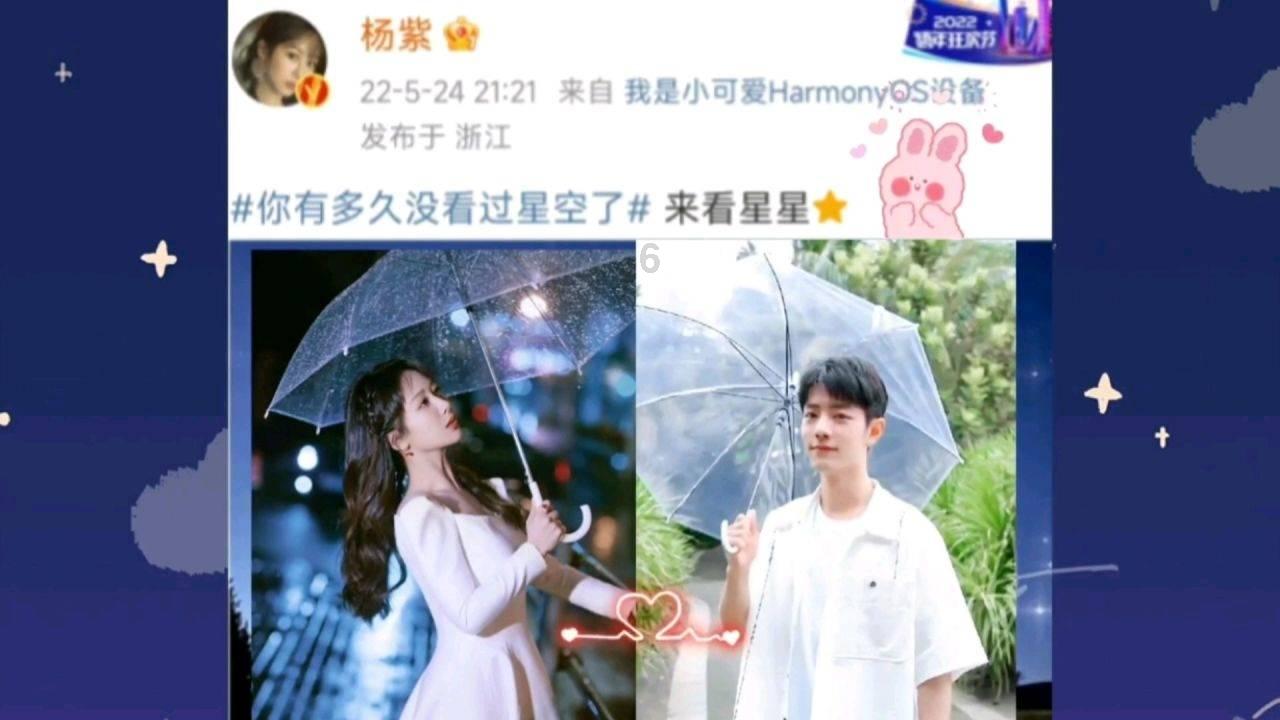 小猫钓鱼正版下载中文版