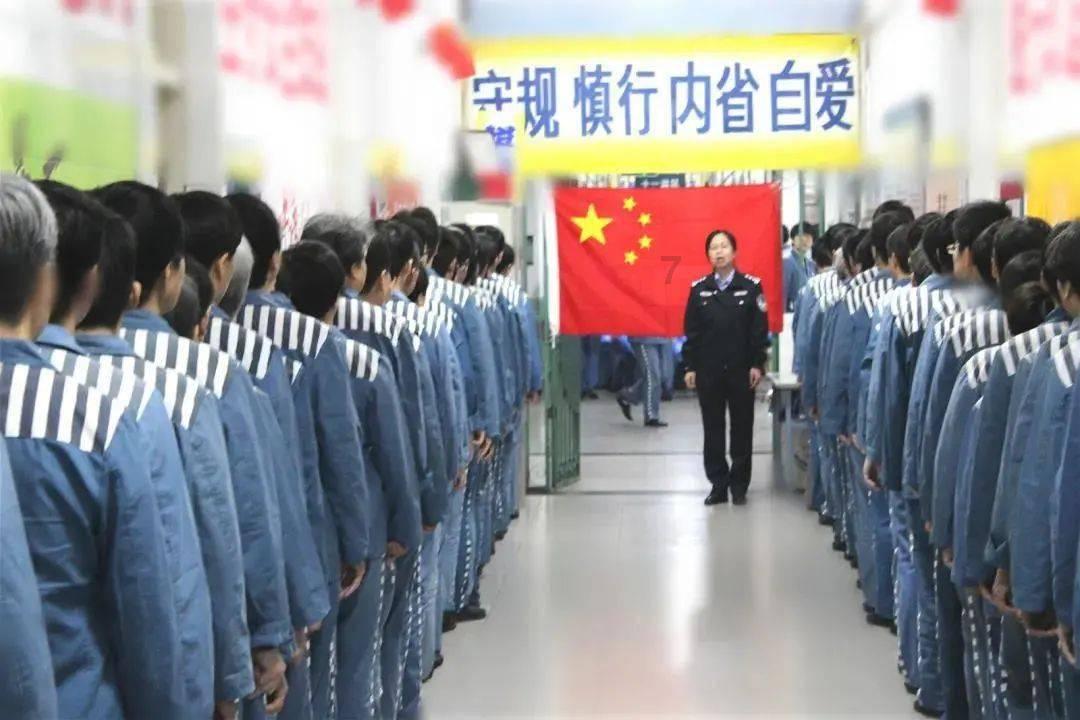 玫瑰种植户陈艳:采花卖花忙