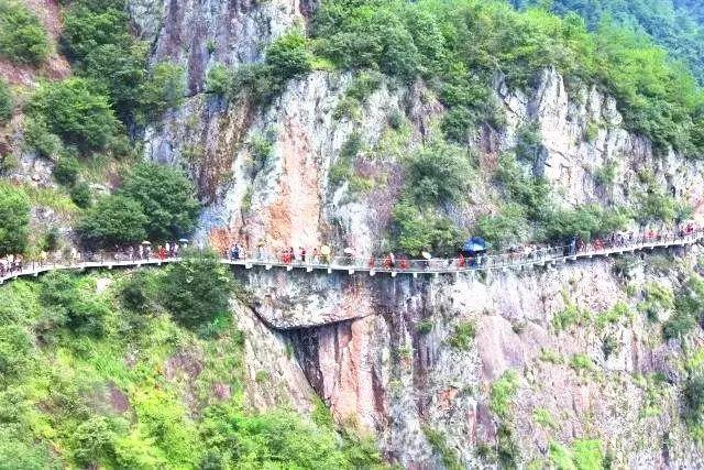 逃出无人荒岛