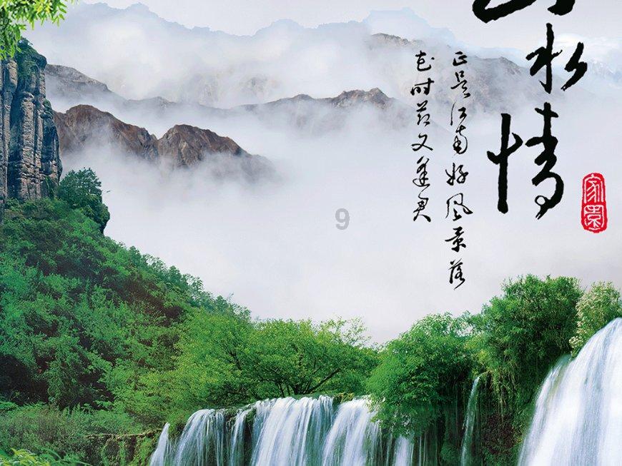 植物大战僵尸17