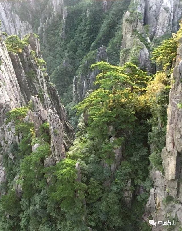 破碎的沉默