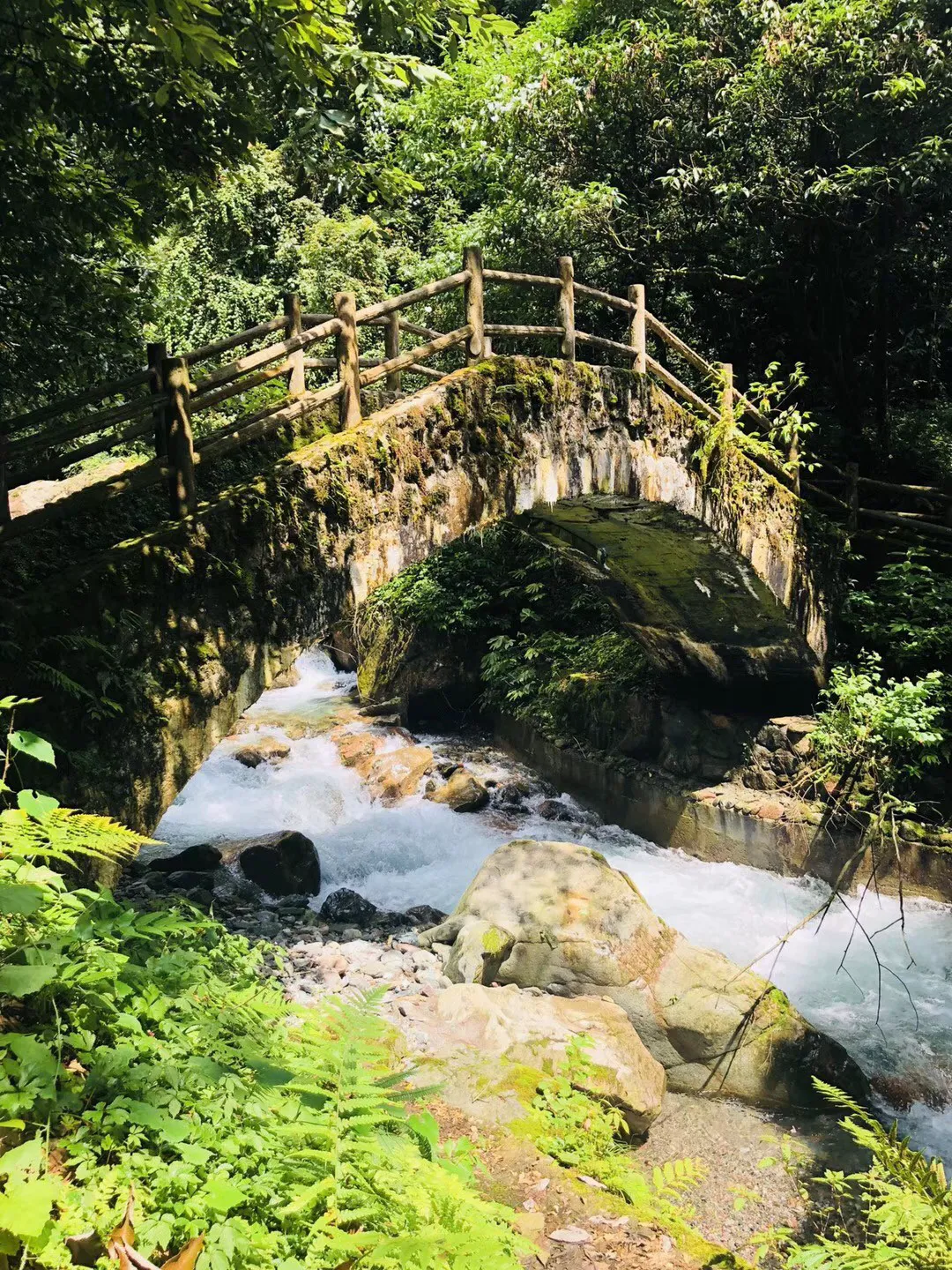 代表委员有话说 | 青岛市人大代表冯恩杰：优化公立社区卫生服务中心工作职能 充分发挥相关作用