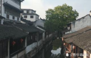 救援墨镜哥