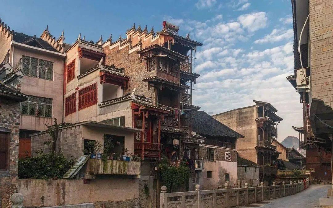 动物帮帮忙保卫家园