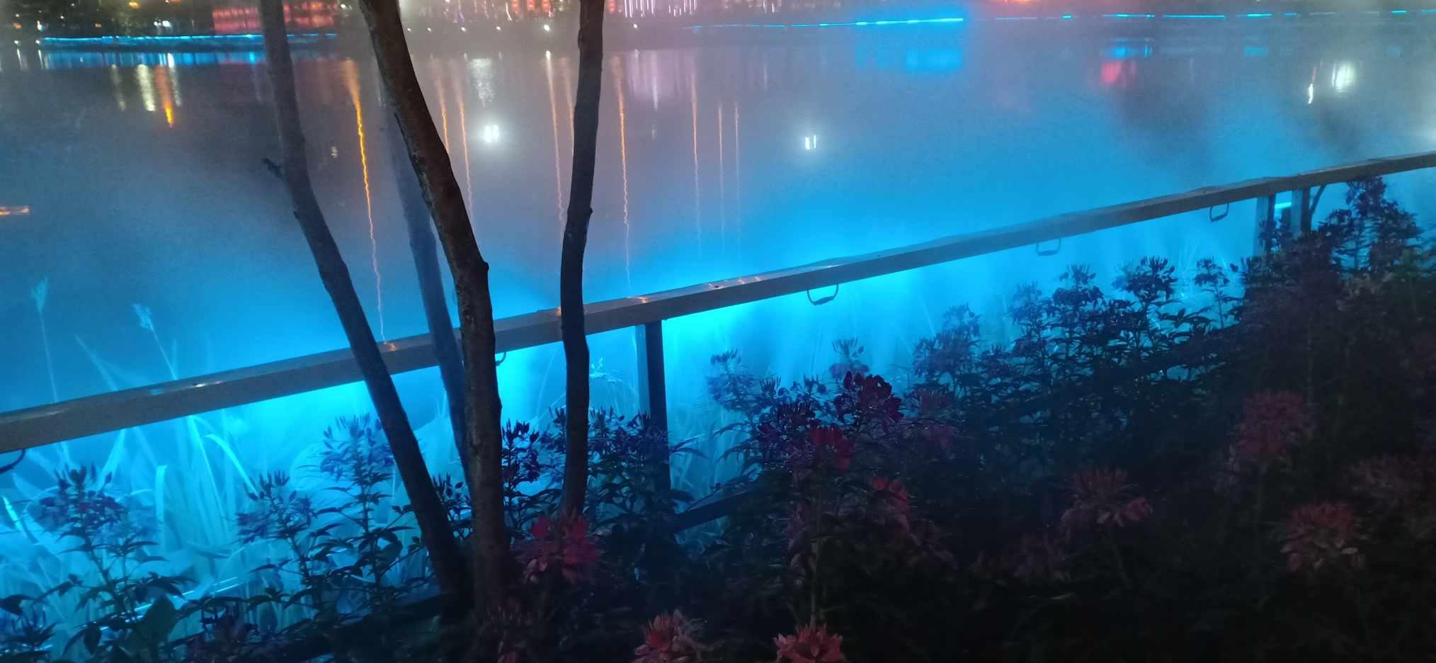 暗黑血统2