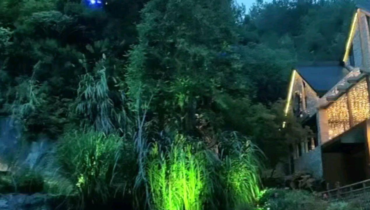 迷雾求生